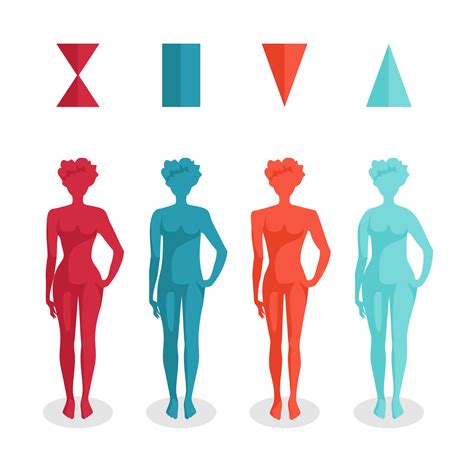 Many blogs also interchangeably use the terms 'body type' and 'body shape.' read on to know about the different body shapes and types and understand which one you have. The Four Basic Female Body Shapes | The-Health-Focus