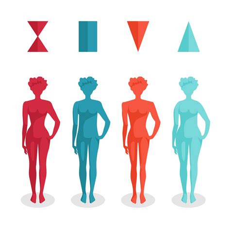 While there are many different body shapes out there, most women align with one of five: The Four Basic Female Body Shapes | The-Health-Focus