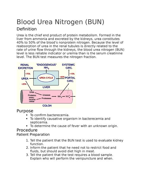 Blood Urea Nitrogen Agile Hiraeth