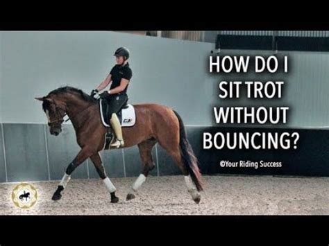 Get Basic Safety Tips Learn The Basics Walk Trot Canter
