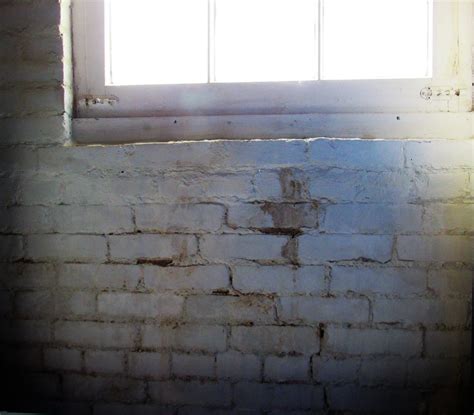 Rid basement of musty smell. Getting Rid of a Musty Smell in the Basement | ThriftyFun