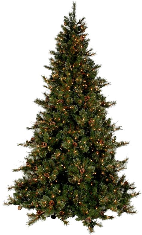 Download transparent christmas tree png for free on pngkey.com. Real Christmas Tree Free Download Png