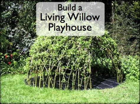 How To Grow A Childs Living Den Or Playhouse From Willow Or Bamboo