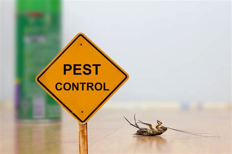 First and most importantly you must be very careful. Easy, Everyday Do-It-Yourself Pest Control Tips | Pest Control Tips