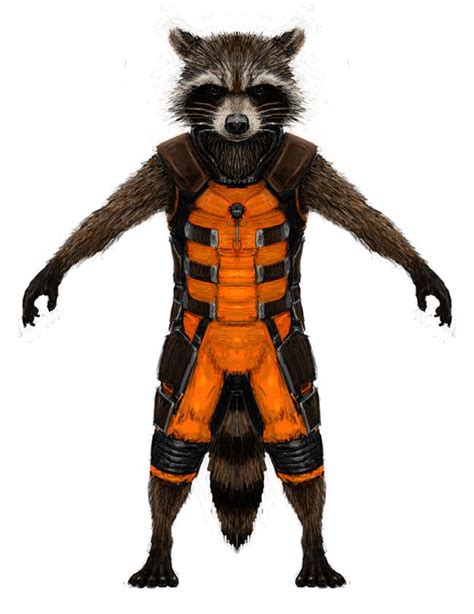 Rocket Raccoon Orthographic Back By Dragon7350 On Deviantart