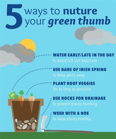 Gardening Problems 5 Tips To Keep Your Plants Happy Plants Plant Roots Gardening Tips