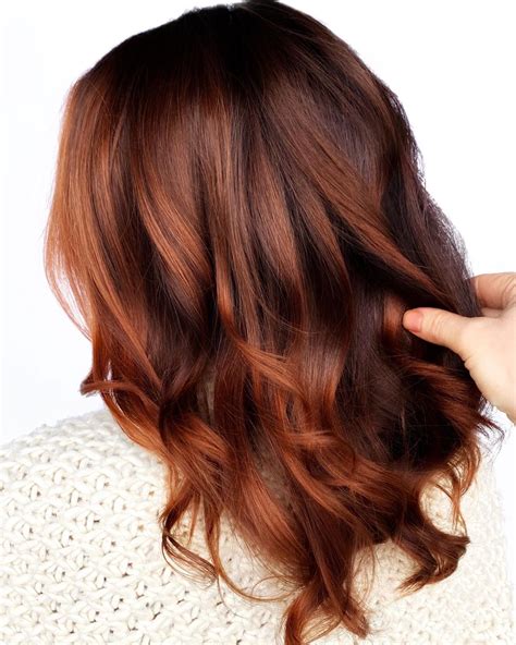 Skill Wiring Famous Cinnamon Hair Color With Highlights References