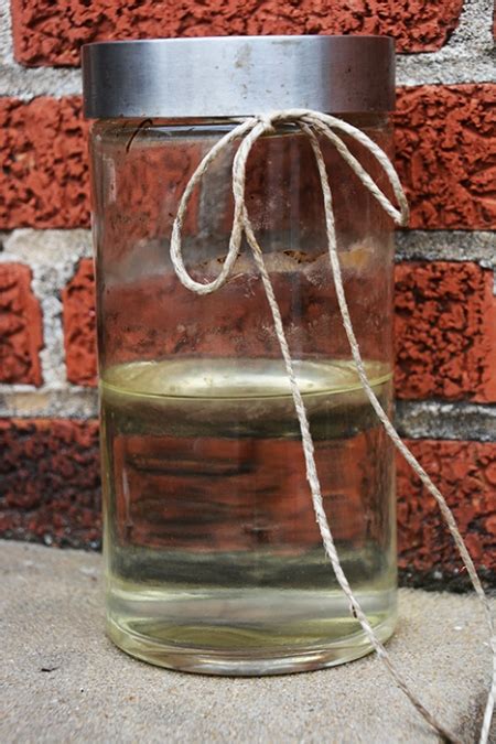 However, there are some exceptions, and some are safer than others. Homemade Ant Killer | Homemade to Healthy