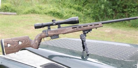 Cz 527 Varmint Bolt Action Rifle Reviews Gun Mart