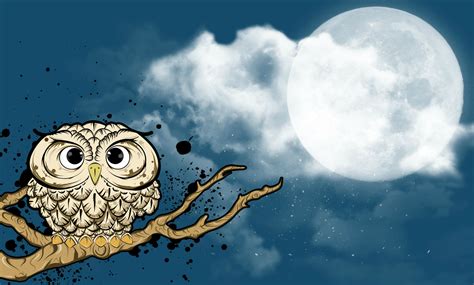 Owl Wallpaper And Background Image 1680x1013 Id182487