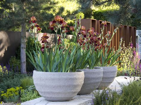 20 Eye Catching Diy Garden Ideas Of Rocks And Pots You Will Like