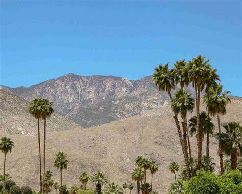 Explore Greater Palm Springs in Southern California - Bell and Bly