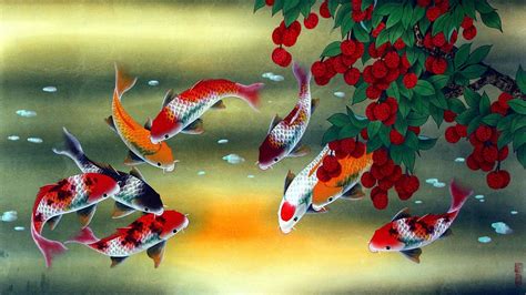 Koi Fish Wallpaper 59 Images