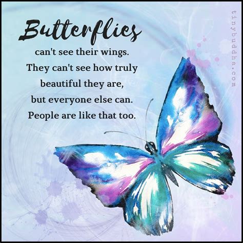 Related Image Butterfly Quotes Beautiful Butterflies Quotes Tiny Buddha