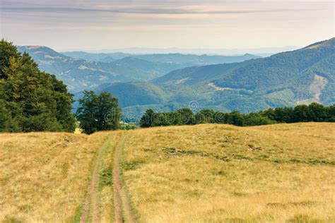 Country Road Through Grassy Meadow In Mountains Stock Photo Image Of