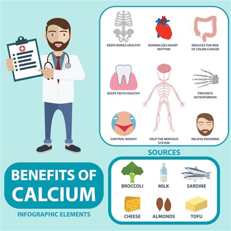 the function of calcium what you need to know about the other 1 effihealth