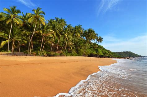 Discover The Best Beaches In India Enchanting Travels