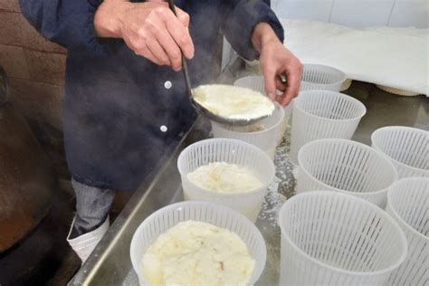 Does Ricotta Cheese Go Bad The Shelf Life Spoilage Signs Risks Of