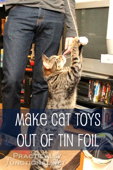 Tin Foil Cat Toys Caturday 9 Practically Functional