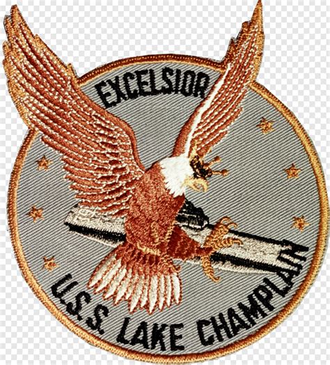Bald Eagle Head Bald Eagle Eagle Globe And Anchor American Eagle Lake Eagle Silhouette
