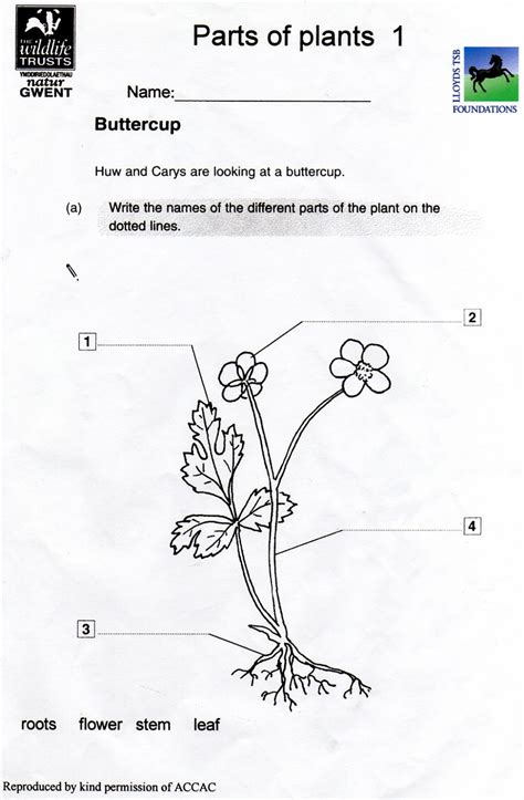 This page has a collection of color by number worksheets. Free Science Worksheets For Grade 1