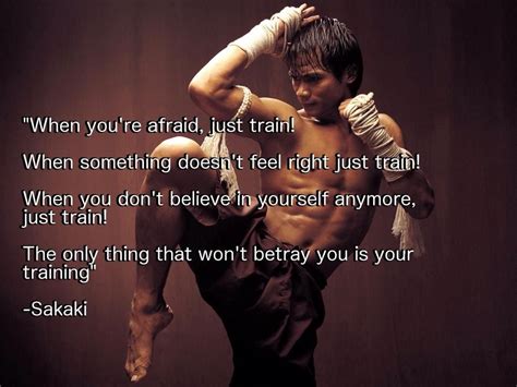 Martial Artist Quotes Inspiration