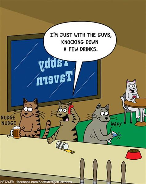 Mystery Fanfare Cartoon Of The Day Cats