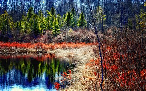 Spring In New England Photograph By Tricia Marchlik