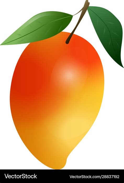 Mango Fruit Icon Cartoon Style Royalty Free Vector Image