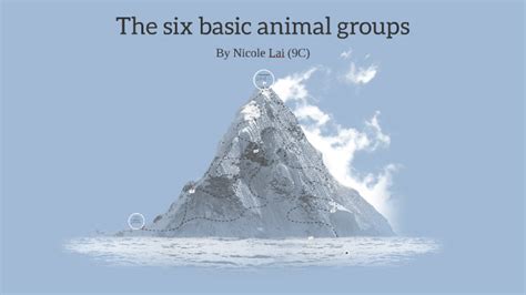 The 6 Basic Animal Groups By Nicole Lai On Prezi