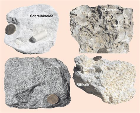 Sedimentgesteine — sedimẹntgesteine, sedimentịte, sedimẹnte, absatzgesteine, durch ablagerung (sedimentation) oder biologischem wachstum gebildete (sedimente, lockergesteine). Sedimente und Sedimentgesteine | SpringerLink