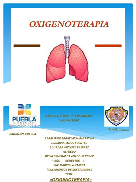 Oxigenoterapia Presentacion Pdf Oxígeno Especialidades Medicas