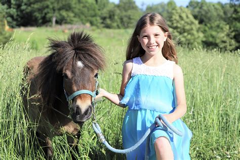 Mini Horse Rescue Chickadee Hill Farms Of North Carolina