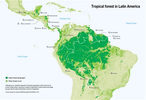 Tropical Forest In Latin America Grid Arendal