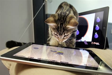 Cat n mouse at app store analyse. Mouse not included: The iPad app that lets cats play with ...