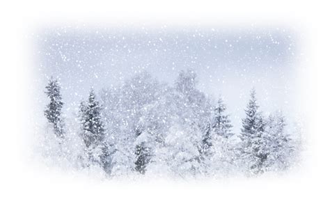 Snow Weather Winter Storm Blizzard Snow Png Download 800500 Free