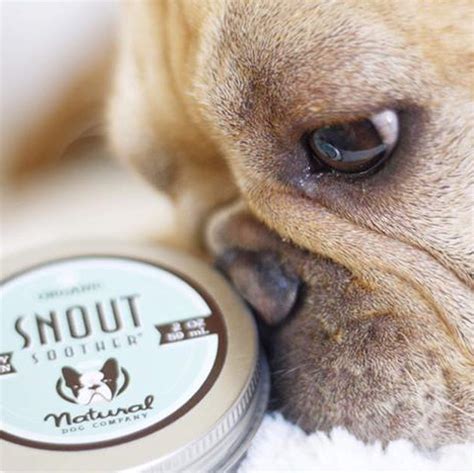Galleon Natural Dog Company Snout Soother All Natural Remedy For