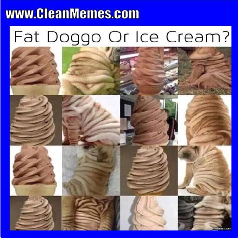 Fat Doggo Clean Memes