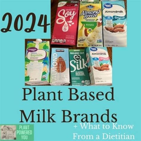 Plant Based Milk Brands 2024 What To Know From A Dietitian
