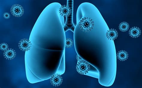Mexidol has antihypoxic and antioxidant effects, can treat mitochondrial respiratory dysfunction, thereby affecting the key processes in different cells of organs and tissues that develop due to hypoxia. Happy Hypoxia - Himpunan Mahasiswa Pascasarjana Farmasi ITB