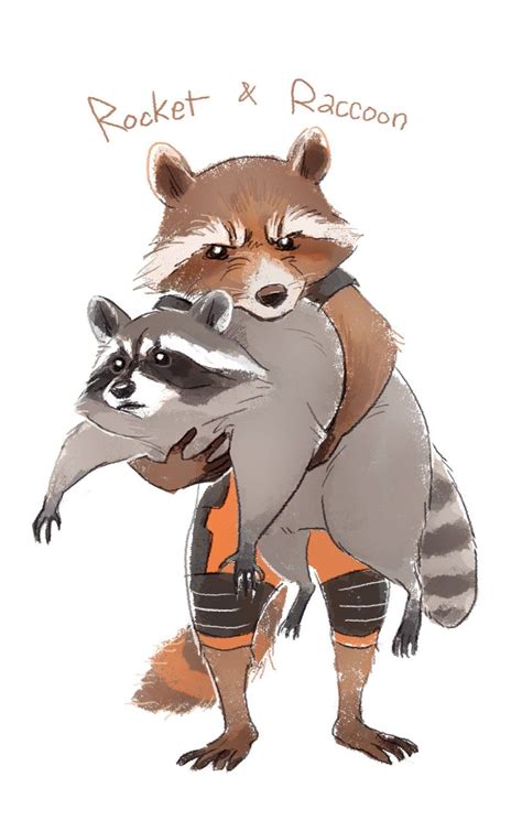 H4llp3n On Twitter Cute Raccoon Raccoon Art Rocket Raccoon