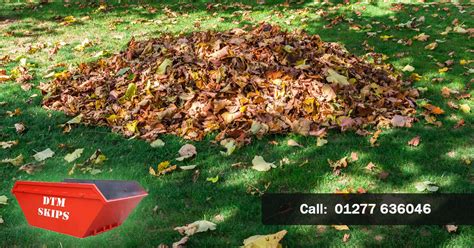 Why do i need to include it in my diet? How to Get Rid of Your Garden Waste with DTM Skips ...