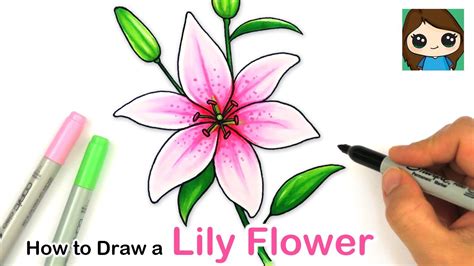 How To Draw A Lily Flower Easy Youtube