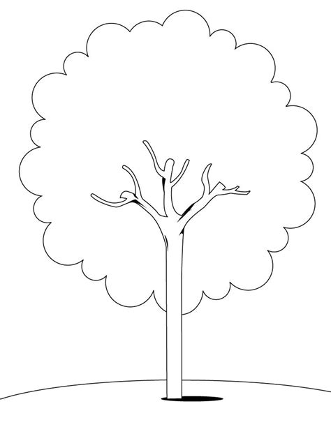 Over time, family trees can change as people forget their family history. Family Tree Clip Art Color Page | Clipart Panda - Free ...