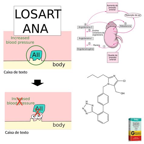 Mecanismo De Ação Da Losartana