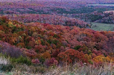 Fall Foliage In The Ozarks Updates 2019 Lost In The Ozarks