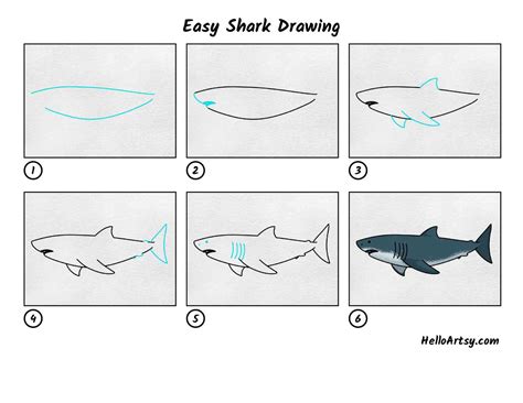 How To Draw A Shark 10 Easy Drawing Projects