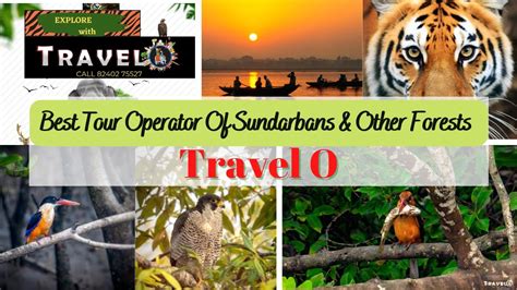 Sundarbans Best Tour Operator Travel O Best Tour Operator In Kolkata