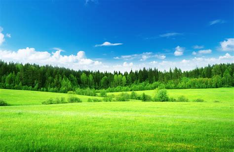 Pasture Wallpapers Top Free Pasture Backgrounds Wallpaperaccess
