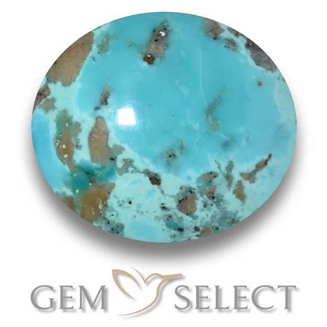 Oval Cabochon Turquoise From United States December Birthstone Gem